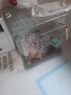 Bench lxbxh 89x60x65, Dieren en Toebehoren, Ophalen