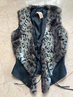 Trendy Bont bodywarmer maat S, Kleding | Dames, Ophalen of Verzenden, Zo goed als nieuw, Maat 36 (S)