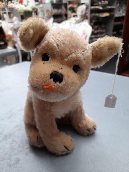 steiff adv 20 hondje, Ophalen of Verzenden