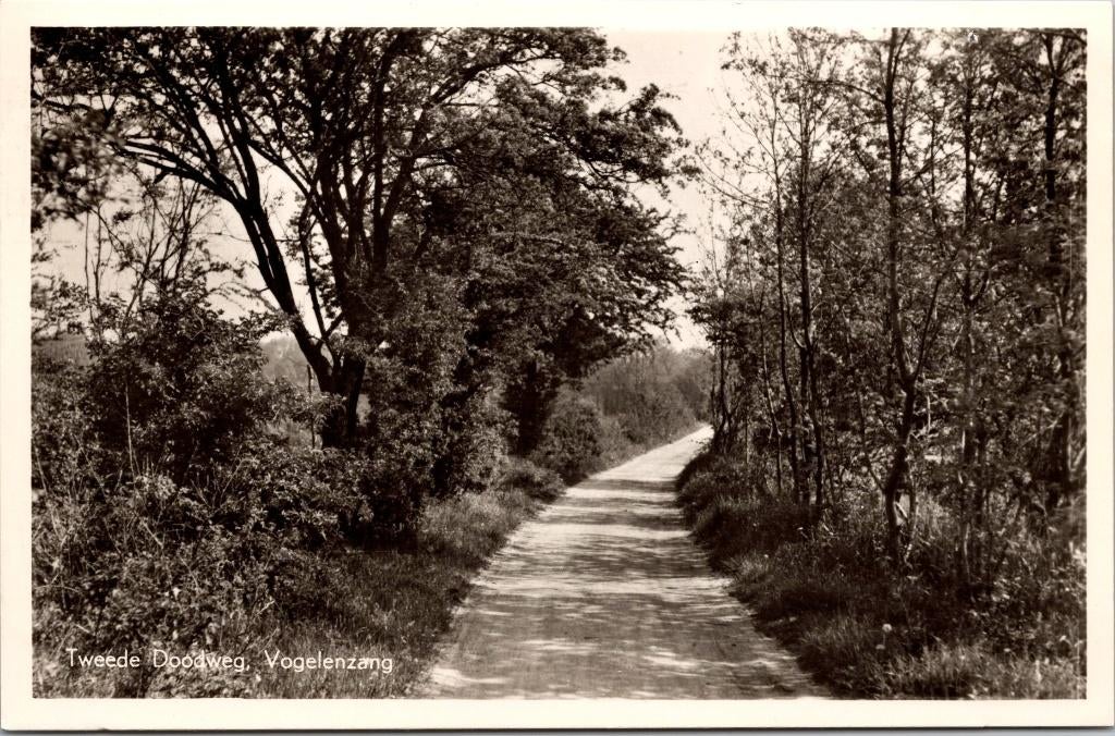 Vogelenzang - Tweede Doodweg (1959), Verzenden, 1940 tot 1960, Gelopen, Noord-Holland