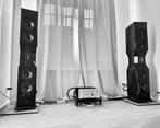Aurum Cantus Genesis Top Highend Level Loudspeaker, Audio, Tv en Foto, Luidsprekers, Zo goed als nieuw, 120 watt of meer, Front, Rear of Stereo speakers