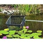 Wie o wie heeft wat vijvervissen over :), Goudvis(sen)