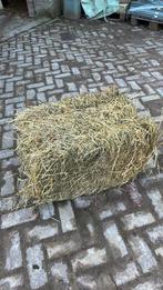 Te koop kleine balen hooi, Ophalen of Verzenden, Vee