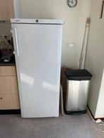 Liebherr comfort grote koelkast, Witgoed en Apparatuur, Ophalen, 200 liter of meer, 140 tot 160 cm, 45 tot 60 cm