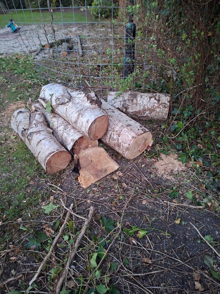Brandhout, Minder dan 3 m³, Ophalen of Verzenden, Berkenhout, Blokken