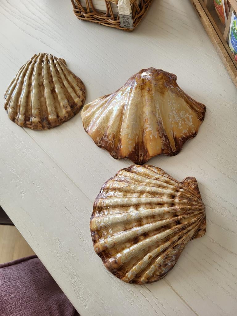 Rivièra Maison Loulé shell 3x, Ophalen, Zo goed als nieuw
