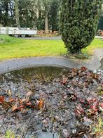 Lelies en Dotters aan rek, Tuin en Terras, Ophalen, Gebruikt