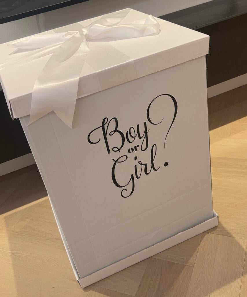 Grote Gender Reveal Doos, Ophalen, Zo goed als nieuw, Geboorte of Huwelijk