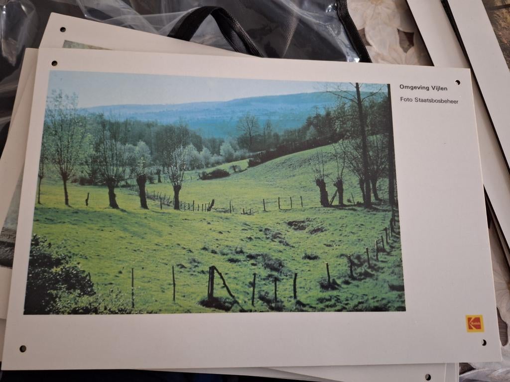 Limburgse Foto Omgeving Vijlen (L) Op Plaat. Kodak., Verzamelen, Ophalen of Verzenden, Zo goed als nieuw