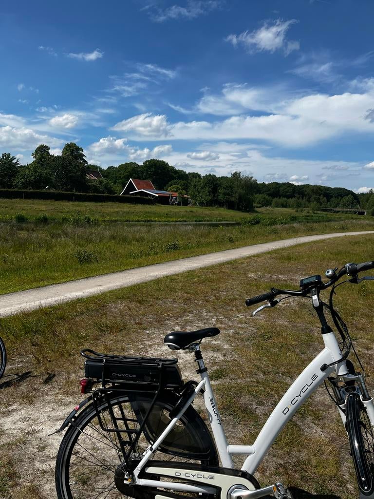 Prima elektrische fiets - D-Cycle, Fietsen en Brommers, Elektrische fietsen, Ophalen of Verzenden, Gebruikt, Overige merken