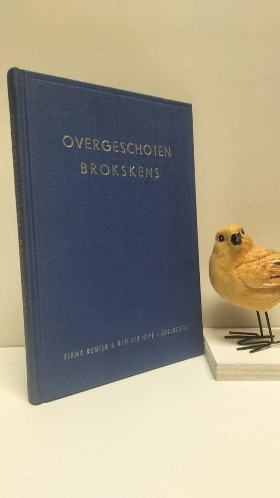 Hoven, H. van de; Overgeschoten brokskens, Ophalen of Verzenden, Gelezen, Christendom | Protestants