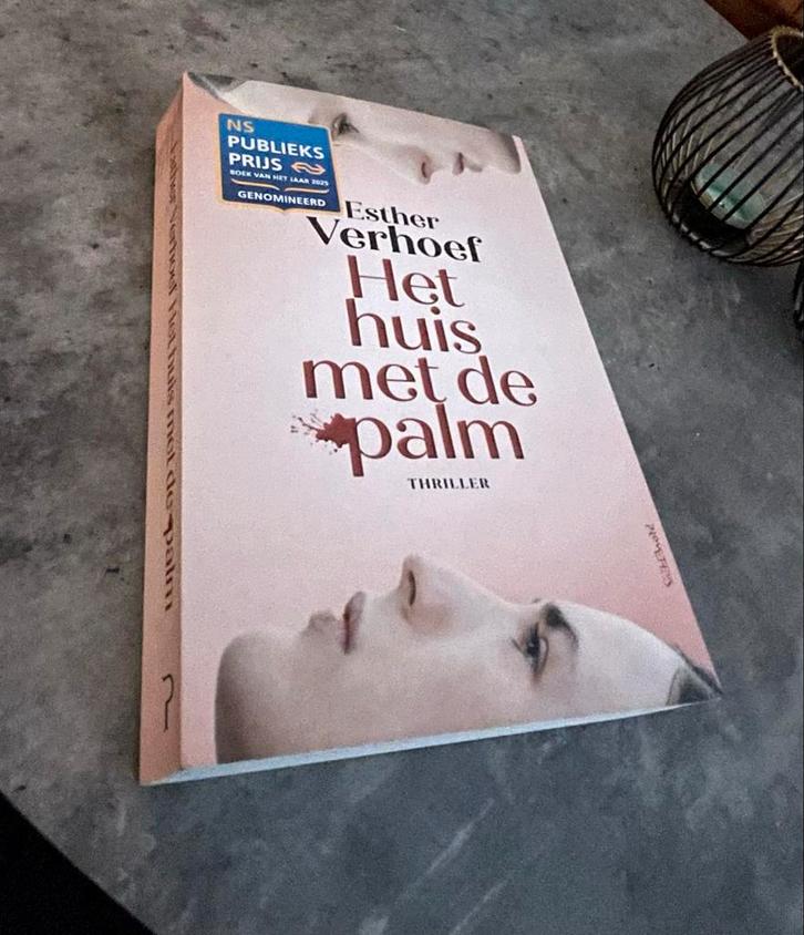 Het huis met de palm - Esther Verhoef (Thriller), Boeken, Thrillers, Zo goed als nieuw, Nederland, Ophalen of Verzenden