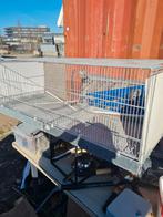 Broedkooien 2 stuks, Ophalen of Verzenden, 110 cm of meer, Minder dan 65 cm