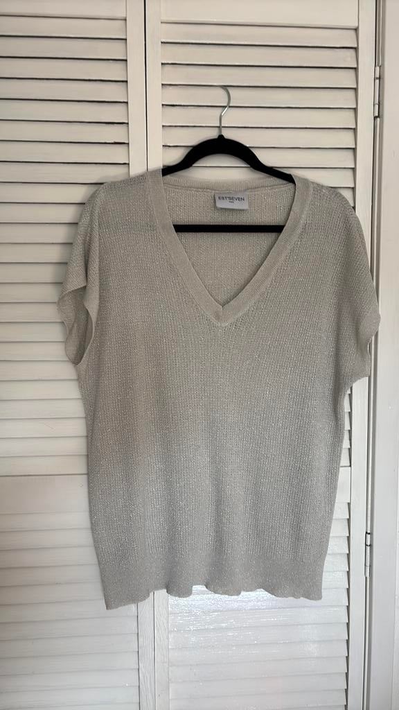 Zilver/grijs top maat M Est’seven, Maat 38/40 (M), Ophalen of Verzenden, Zo goed als nieuw, Zonder mouw