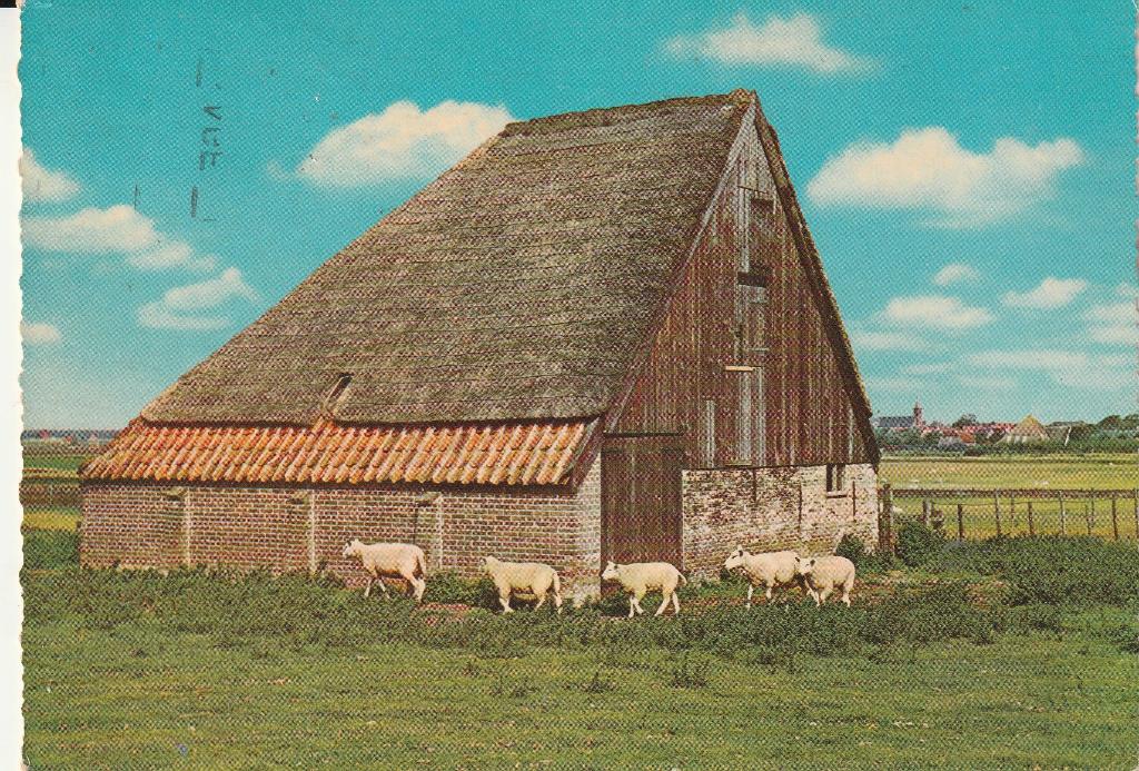 Texel Schapenboet 1973, Ophalen of Verzenden, 1960 tot 1980, Gelopen, Waddeneilanden