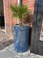 5 betonnen plantenbakken - blauw/grijsachtig, Ophalen, Gebruikt, Balkon, Minder dan 60 cm