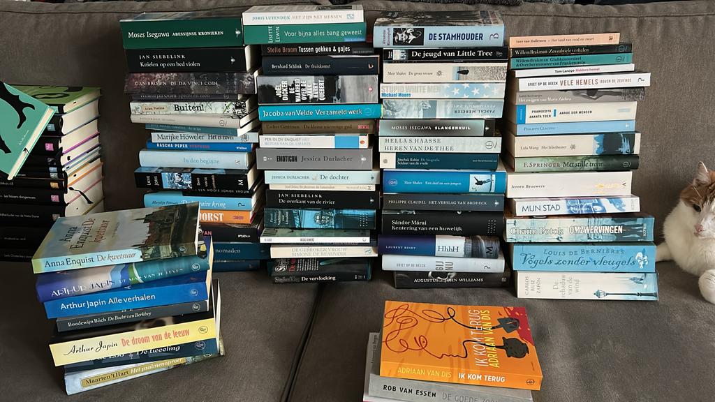 Boeken, Boeken, Romans, Ophalen of Verzenden, Gelezen, Nederland
