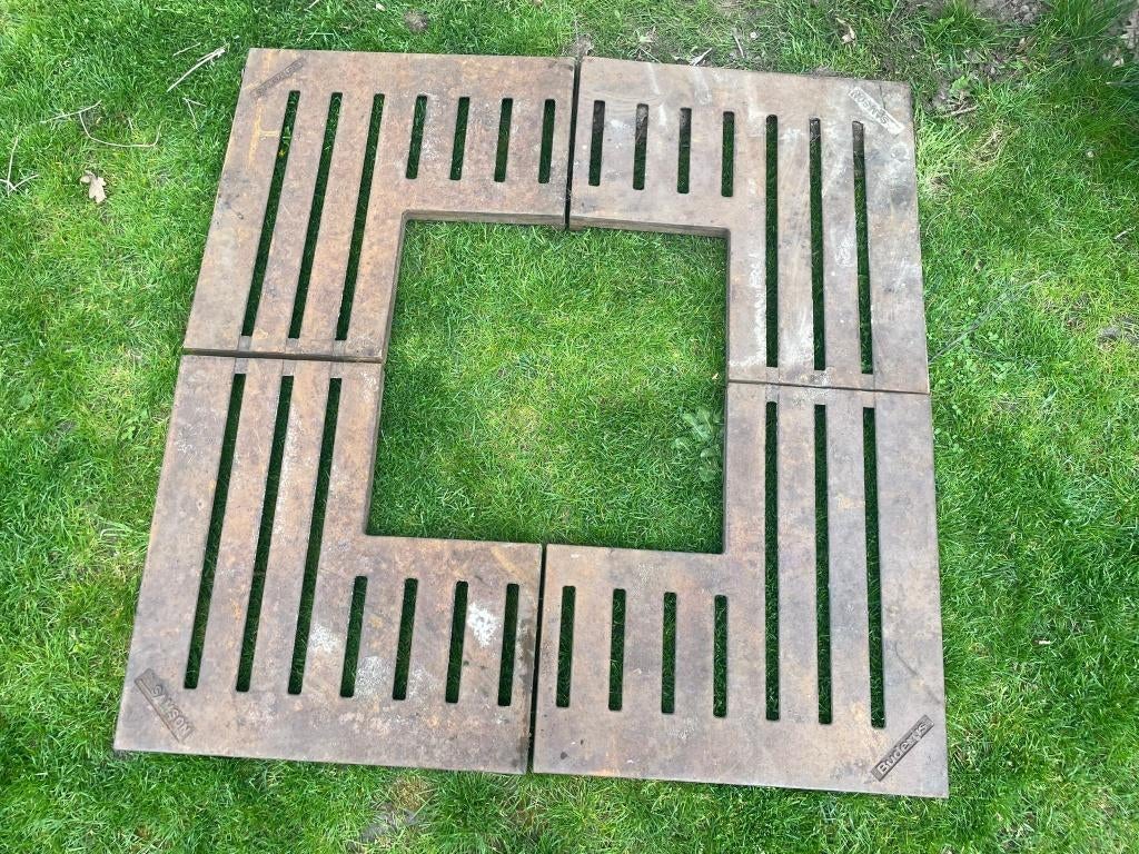 Boomrooster gietijzeren, Ophalen, Bloeit niet, Minder dan 100 cm, Volledige schaduw