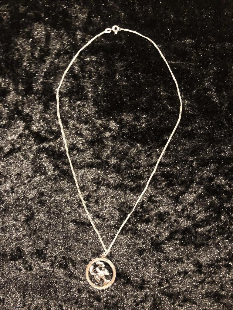 Zilveren ketting met hanger sterrenbeeld kreeft, Met hanger, Ophalen of Verzenden, Zo goed als nieuw, Zilver