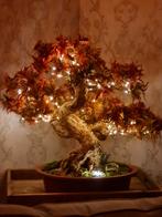 kunstboom Bonsai met LED-verlichting, Ophalen of Verzenden, Zo goed als nieuw, Binnen