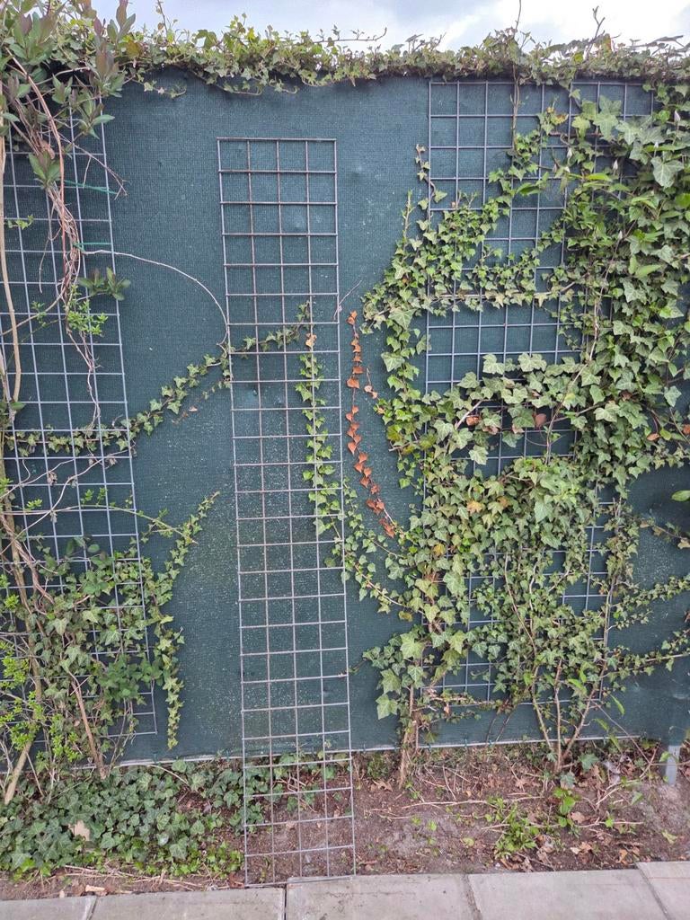 Gaaspanelen 30cm x 2 meter voor klimplanten, Ophalen, Gebruikt, IJzer, Gaashekwerk
