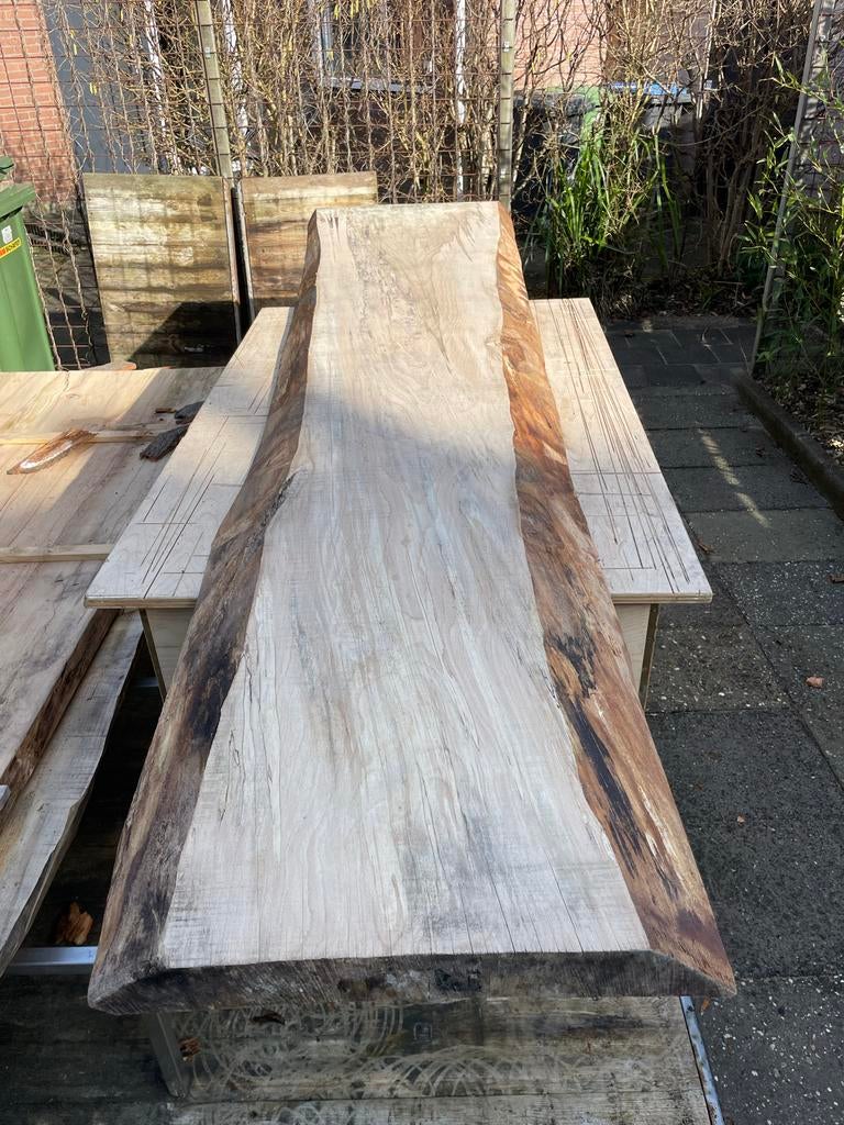 Uniek Beuken Boomstam Blad - Perfect voor Tafel of Bar, Ophalen, Overige typen, Nieuw, 250 tot 300 cm