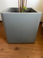 Grote elho plantenbak verrijdbaar grijsgroen, Tuin en Terras, Kunststof, Gebruikt, Vierkant, Ophalen of Verzenden