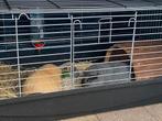 Konijnenhok, Gebruikt, Hamster, Hok, 75 tot 110 cm