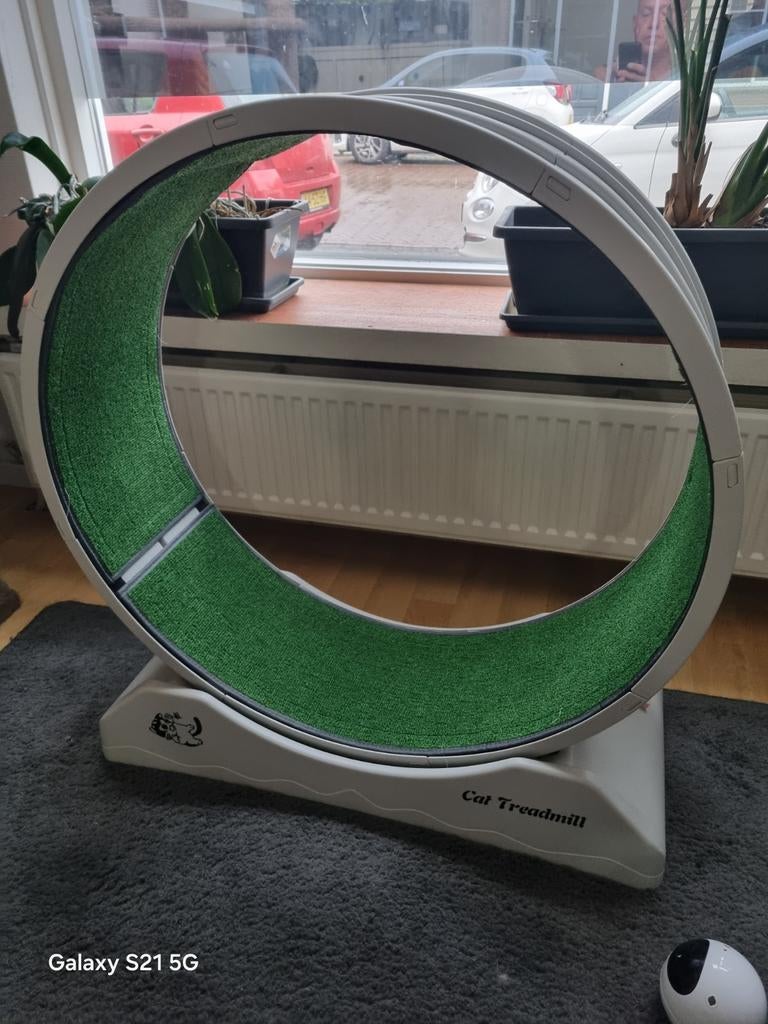 loopband, Dieren en Toebehoren, Ophalen