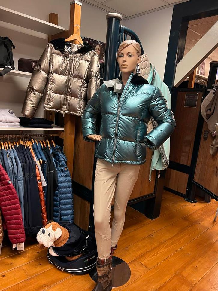 Paspoppen dame, man , kind, pony en paard, Hobby en Vrije tijd, Overige Hobby en Vrije tijd, Ophalen