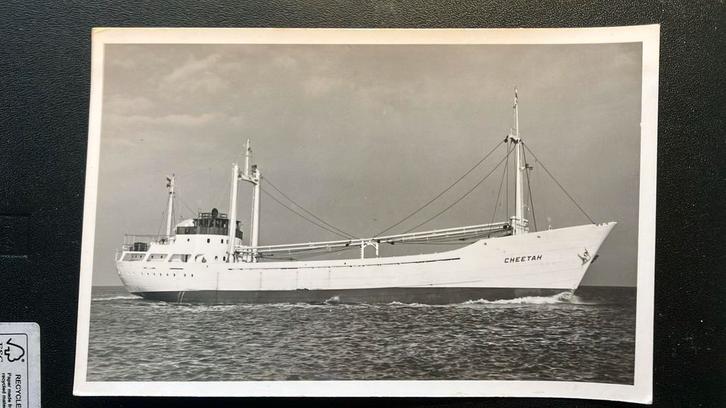 CHEETAH  1960  reder Cremer werf  Westerbroek, Verzamelen, Scheepvaart, Zo goed als nieuw, Kaart, Foto of Prent, Ophalen of Verzenden