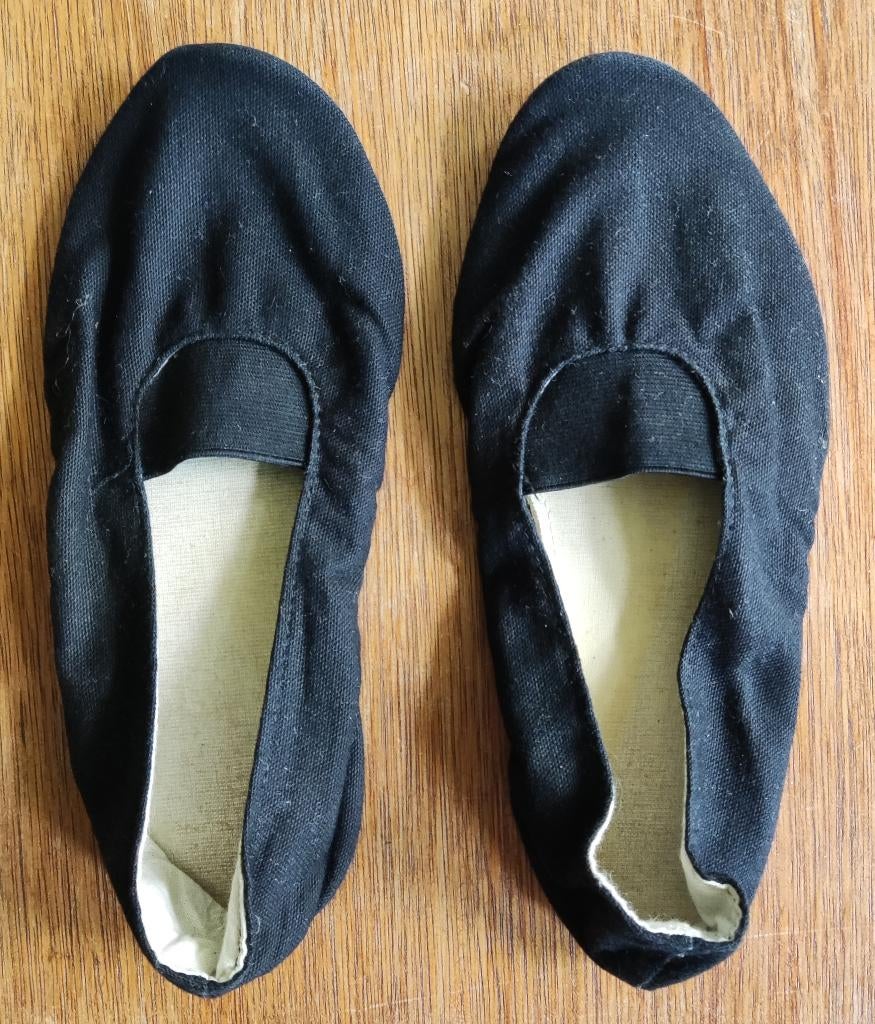 Eurithmie schoenen maat 34, Ophalen of Verzenden, Gebruikt, Overige typen