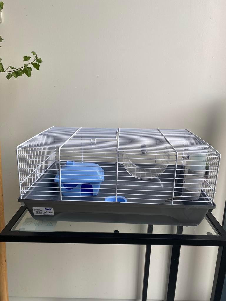 een kooi van plastic en metaal voor hamsters, Minder dan 60 cm, Kooi, Minder dan 75 cm, Ophalen of Verzenden