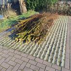 Wilgenhout, gratis af te halen!, Tuin en Terras, Overige Tuin en Terras, Ophalen