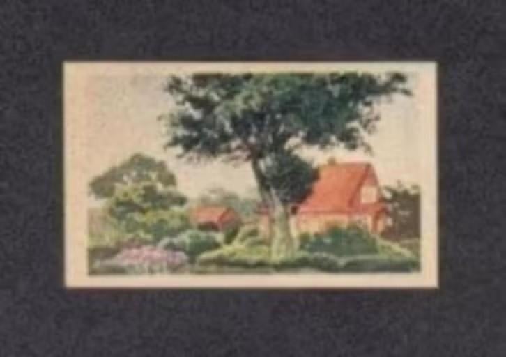Albumplaatje Hulst Zuid-Groningen Woning (23)., Ophalen of Verzenden, Zo goed als nieuw