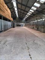 Stalling voor paard / pony, Dieren en Toebehoren, Stalling en Weidegang, Stalling