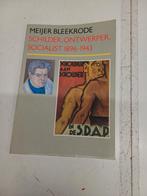Kunstboek Meijer Bleekrode: Schilder, Ontwerper, Socialist, Ophalen of Verzenden
