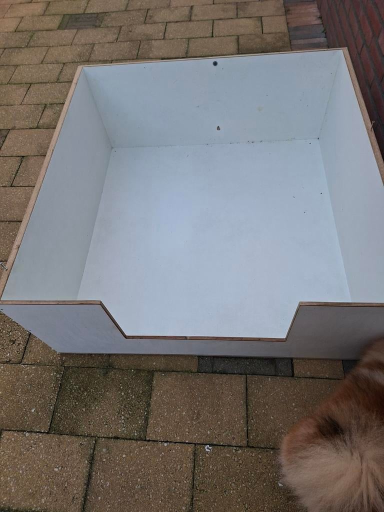 Werpkist  gereserveerd, Dieren en Toebehoren, Ophalen of Verzenden