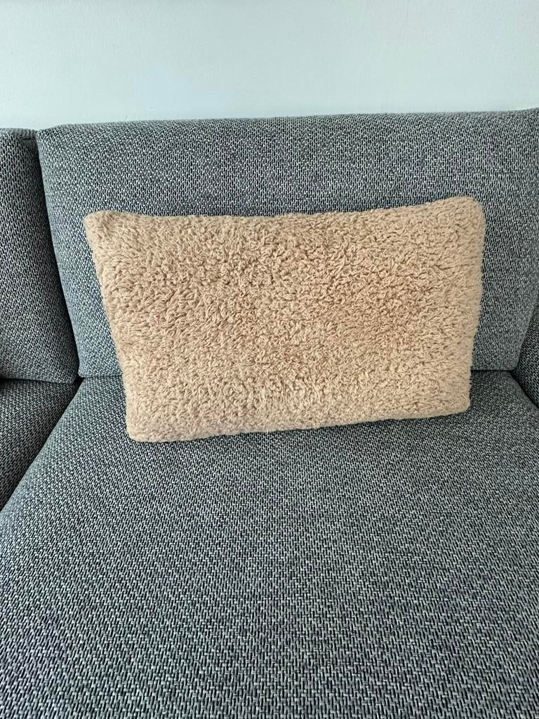 Sierkussen lendekussen beige 55x35 2x, Huis en Inrichting, Woonaccessoires | Kussens, Ophalen of Verzenden, Gebruikt, Beige, Vierkant