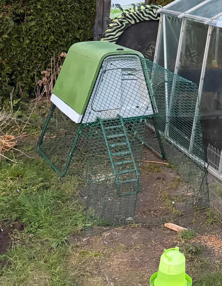 Eglu Go Up kippenhok met ren, Dieren en Toebehoren, Pluimvee | Toebehoren, Zo goed als nieuw, Kippenhok of Kippenren, Ophalen