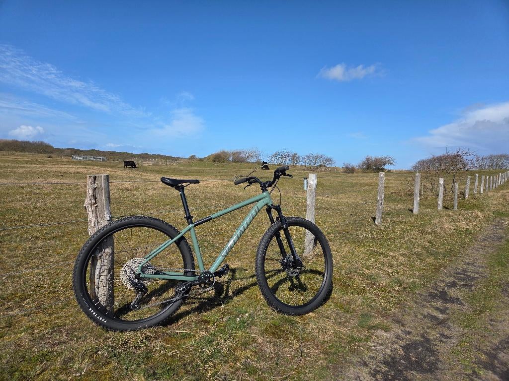 Mtb Specialized Rockhopper Elite 29"/ mosgroen 750,-, Fietsen en Brommers, Hardtail, Heren, Zo goed als nieuw, 53 tot 57 cm