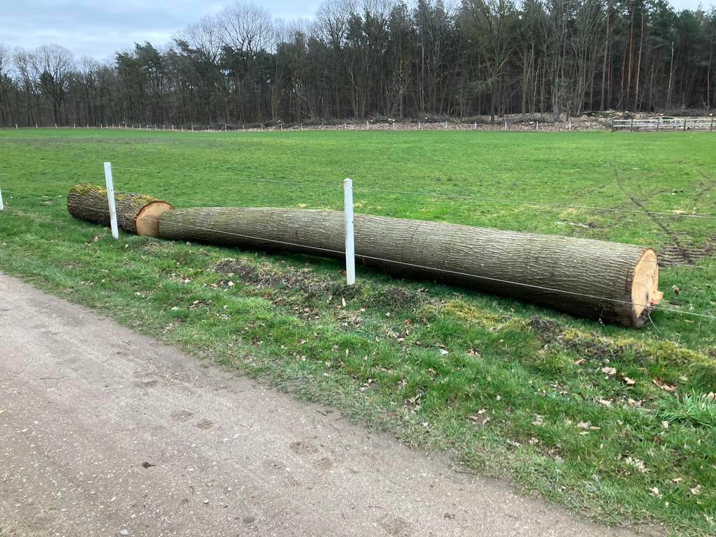 2 Eiken stammen, voor balken,planken of kachelhout !!!, Doe-het-zelf en Verbouw, Hout en Planken, Ophalen, Eiken, Nieuw, Plank
