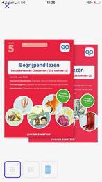 Begrijpend lezen oefenboek Groep 5 (Junior Einstein), Boeken, Ophalen of Verzenden, Nieuw, LBO