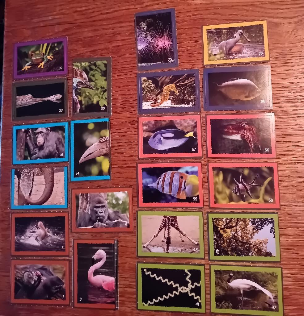 Dekamarkt Dierenstickers Duik in Artis, Dekamarkt, Ophalen of Verzenden