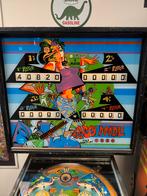 Bally Dipsy Doodle Flipperkast - Vintage Speelplezier, Verzamelen, Automaten | Flipperkasten, Ophalen, Gebruikt, Mechanisch, Bally