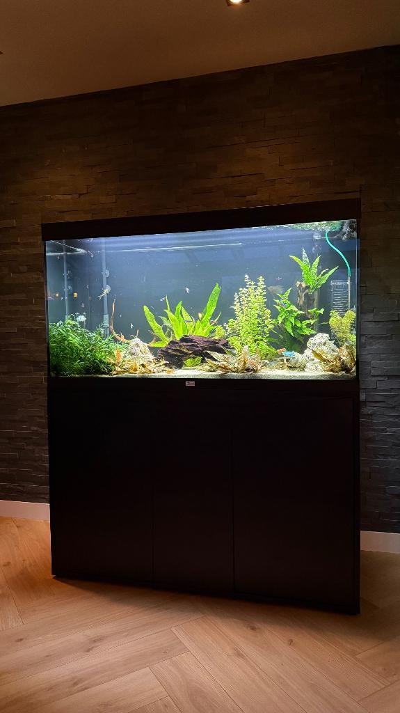 AQUATLANTIS AQUARIUM VOLGA 350 SET, Ophalen, Zo goed als nieuw, Gevuld zoetwateraquarium, Aquatlantis