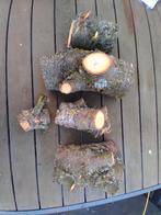 Draaihout kers, Ophalen, Nieuw