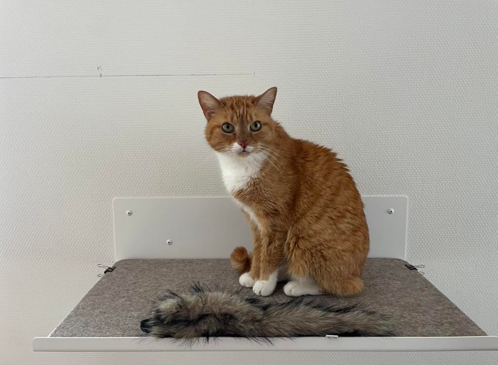 Lucy balu wandplank metaal /kattenligplaats, Dieren en Toebehoren, Ophalen, Zo goed als nieuw