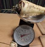 Rabarbera's huisgemaakte soep, Ophalen