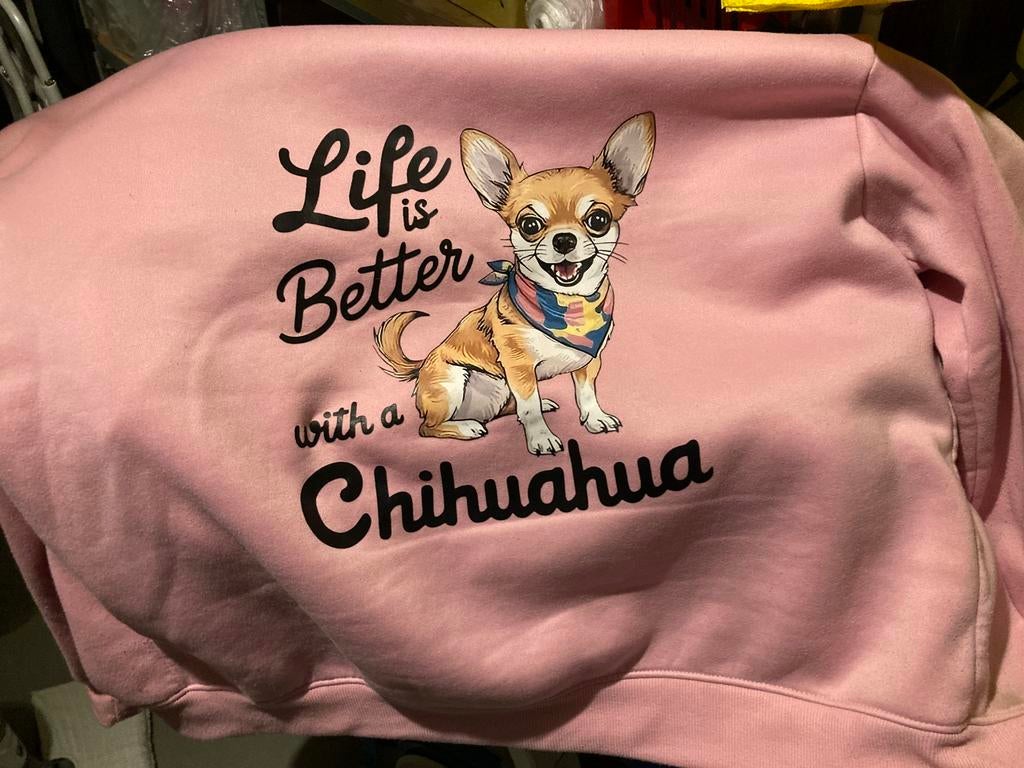 Mooie trui XXL, Ophalen of Verzenden, Zo goed als nieuw, Maat 46/48 (XL) of groter